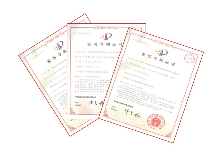 專(zhuān)利圖片.png